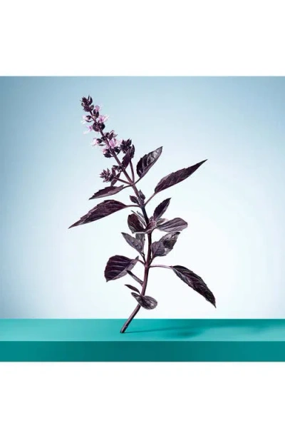 Tiffany & Co Tiffany & Love Eau De Parfum 3-piece Gift Set In Multi