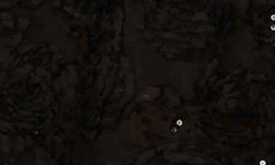 Adrianna Papell Women's Soutache Floral Combo Short-sleeve Gown In Black