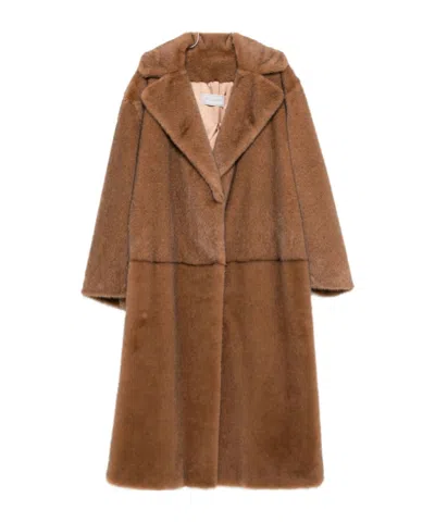 Antonelli Brown Tailored Coat With Structured Fit In Brown