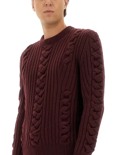 Alexander Mcqueen Alexander Mc Queen Wool Sweater In Burgundy
