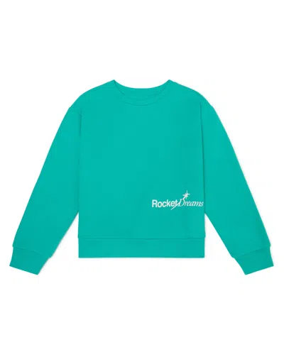 Color Lab Boys 2t-7 Pull-on Long Sleeve Sweatshirt In Green