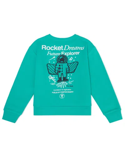 Color Lab Boys 2t-7 Pull-on Long Sleeve Sweatshirt In Green