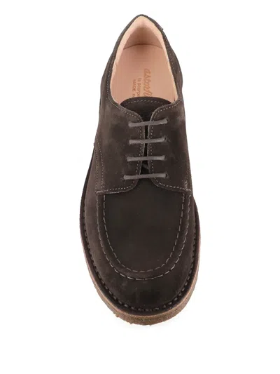 Astorflex Carlflex 001 Lace-up Shoes In Brown