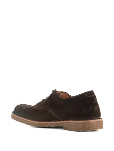 Astorflex Carlflex 001 Lace-up Shoes In Brown