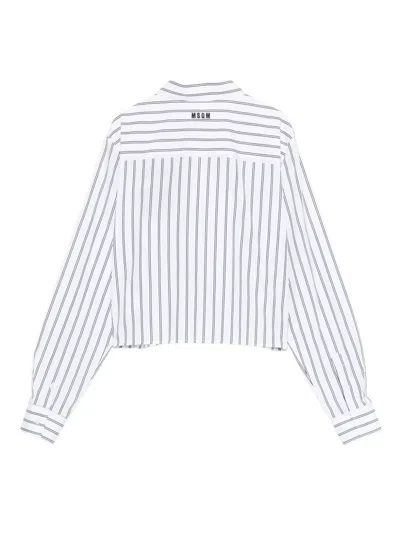 Msgm Striped Rabbit-appliqué Shirt In Multi