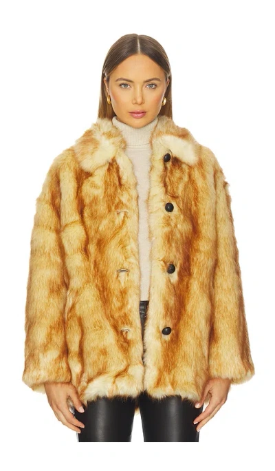 BRENNA ÇŠ®È�‰Å¤–Å¥— Â€“ Æ£•È‰². Å°ºÇ � S (ALSO Â€“ L, M, XS).