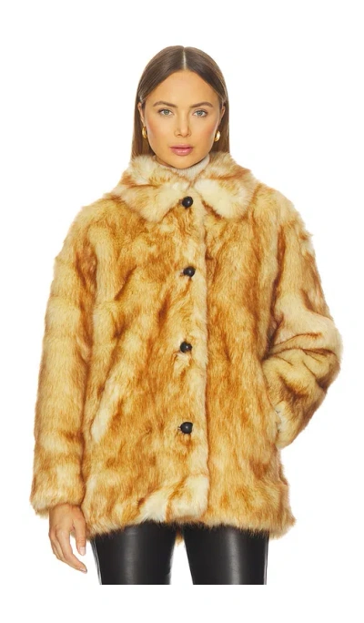 BRENNA ÇŠ®È�‰Å¤–Å¥— Â€“ Æ£•È‰². Å°ºÇ � S (ALSO Â€“ L, M, XS).