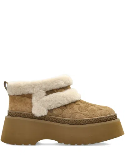 Coach Christina Bootie In Signature Suede In Brown