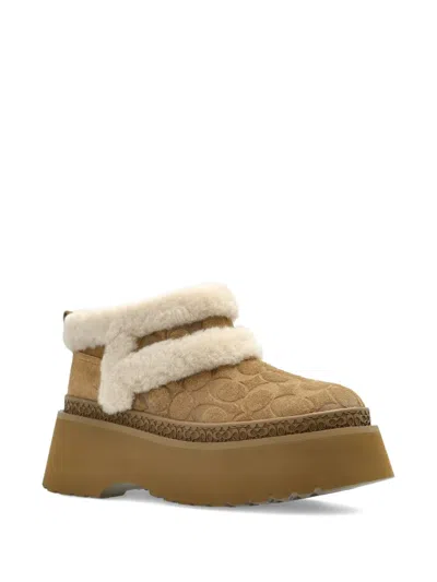 Coach Christina Bootie In Signature Suede In Brown