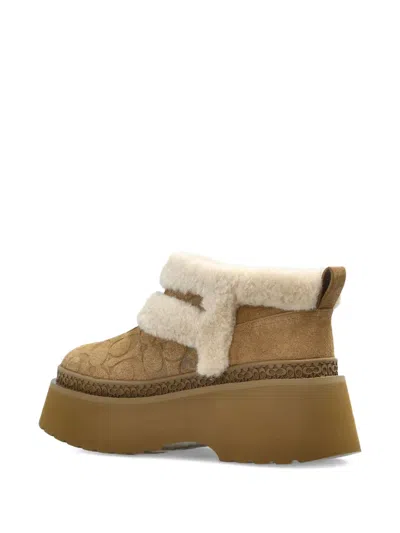 Coach Christina Bootie In Signature Suede In Brown