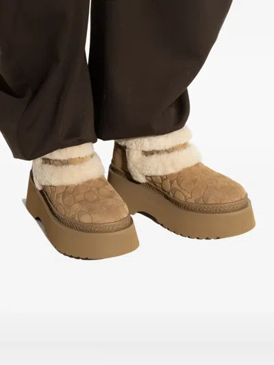 Coach Christina Bootie In Signature Suede In Brown