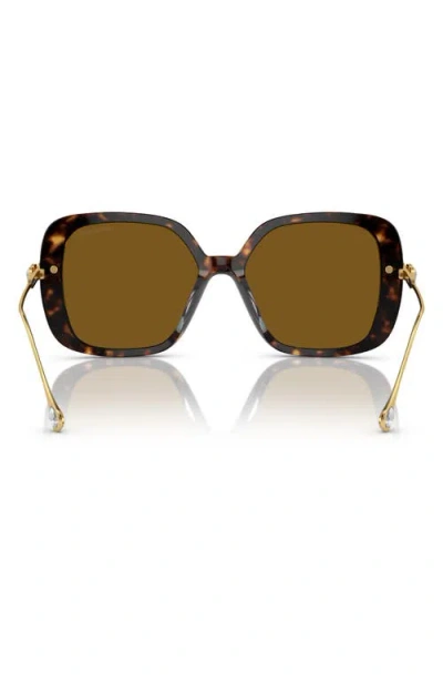 Swarovski Womens Brown Sk6011 Square-frame Tortoiseshell Acetate Sunglasses In Brown