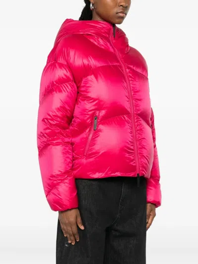 SARAJEVO 连帽夹克