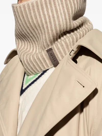 Sease Ribbed Scarf In Brown