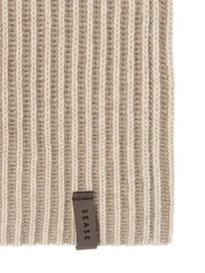 Sease Ribbed Scarf In Brown