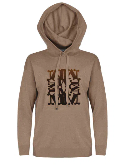 Max Mara Sweater In Brown