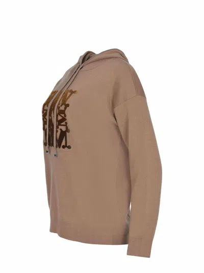 Max Mara Sweater In Brown