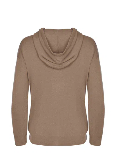 Max Mara Sweater In Brown
