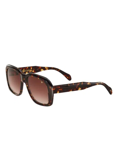 Vintage Frames Company Xxl Tortoise Edition Brown Acetate In Multi