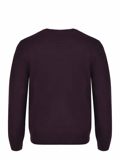 Apc Plum Wool Jay Sweater In Burgundy