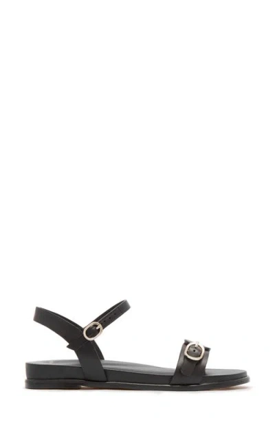 Frankie4 Bree Ankle Strap Sandal In Black