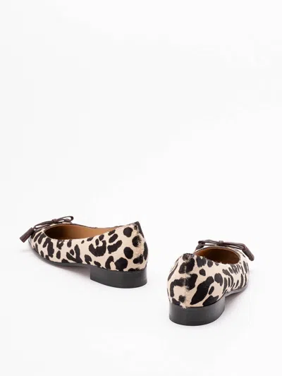 Valentino Garavani Ballerina Leather-trimmed Leopard-print Calf Hair Flats In Multi