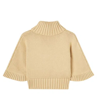 Chloé Turtleneck Cotton And Wool Sweater In Brown