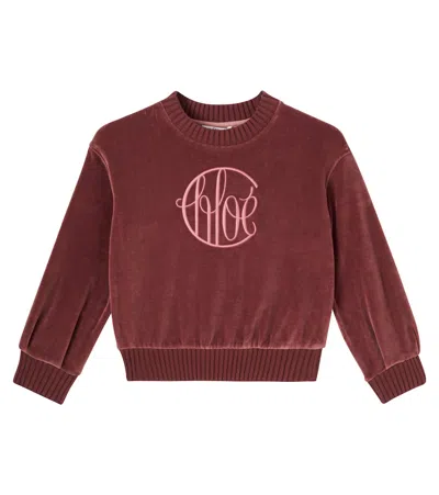 Chloé Logo Cotton Velvet Sweater In Burgundy