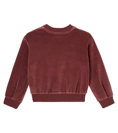 Chloé Logo Cotton Velvet Sweater In Burgundy