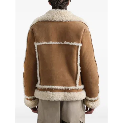 Dolce & Gabbana Suede Shearling Jacket In Brown