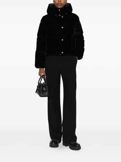 Elisabetta Franchi Cropped Down Jacket In Black