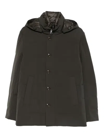 Montecore Hooded Jacket In Gray