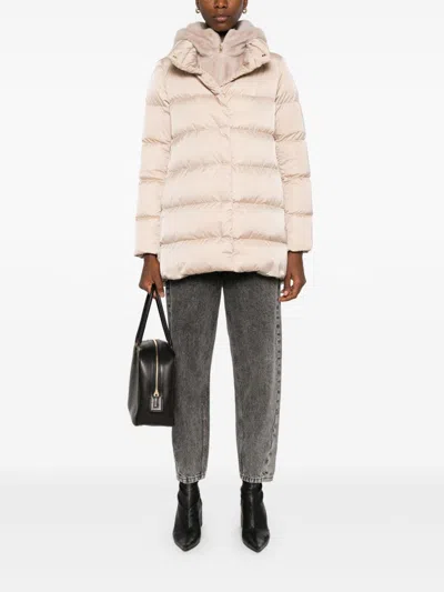 Herno Jackets Chantilly In Multi