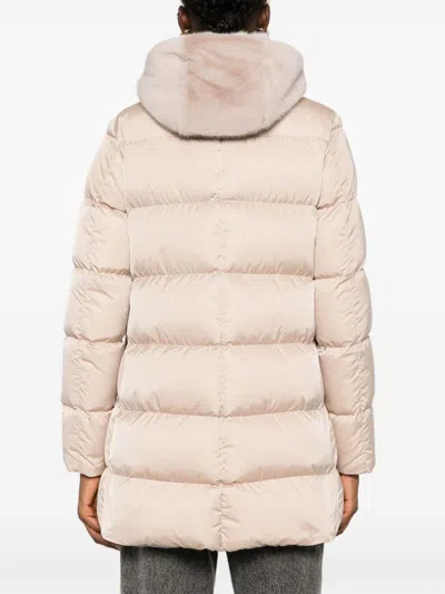 Herno Jackets Chantilly In Multi
