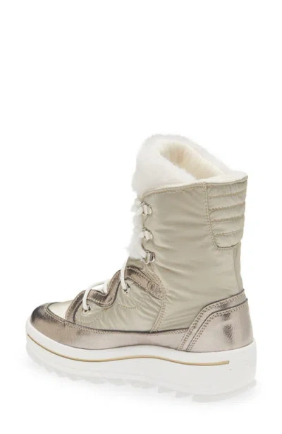 Pajar Tacey 2.0 Waterproof Snow Boot In Multi