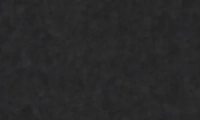 Belle & Bloom Belted Wool Blend Coat In Black