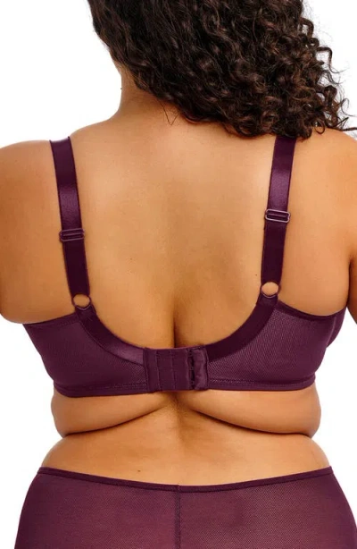 Elomi Kintai Full Coverage Mesh Underwire Bra In Purple