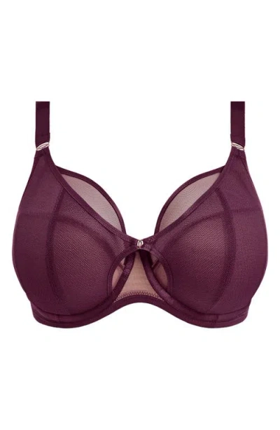 Elomi Kintai Full Coverage Mesh Underwire Bra In Purple