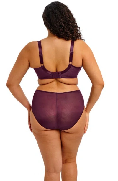 Elomi Kintai Full Coverage Mesh Underwire Bra In Purple