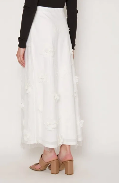 Modenaire Embroidered Mesh Maxi Skirt With 3d Floral Appliqué In White