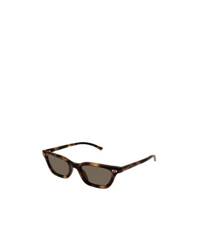 Gucci Eyewear Cat Eye Frame Sunglasses In Brown