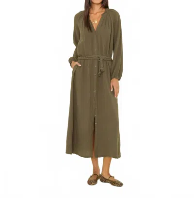 Xirena Andrea Dress In Vineleaf In Green