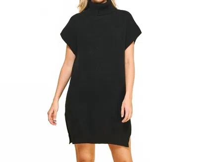 Pinch Women's Turtle Neck Sweater Dress In Black In Black