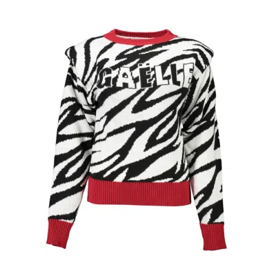 Gaelle Paris Polyester Women's Sweater In Multi