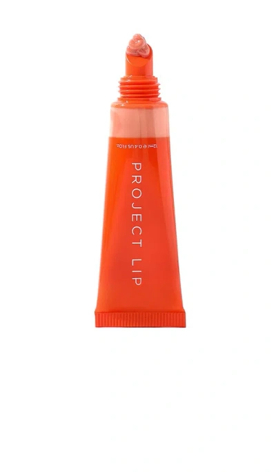 Project Lip Plump Jelly Å”‡èœœ Â€“ Honey Bun. Å°ºç � All.