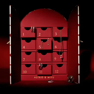 Astrid &amp; Miyu 12 Day Advent Calendar  / No Micron / No Size