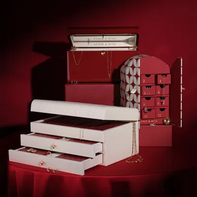 Astrid &amp; Miyu 12 Day Advent Calendar  / No Micron / No Size