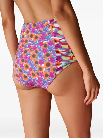Celia B Icarian Wanderlust Bikini In Multi