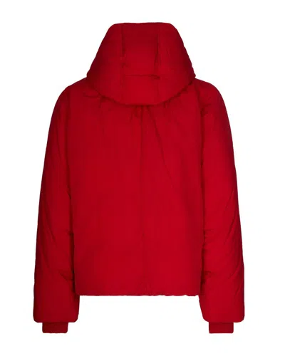 Sportmax Short Padded Jacket With High Collar And Horizontal Stitching In Red
