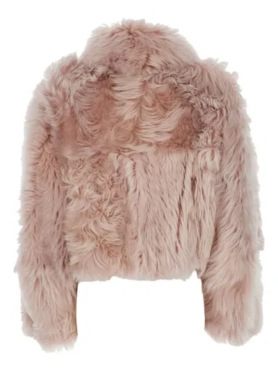 Blancha Shearling Jacket In Pink